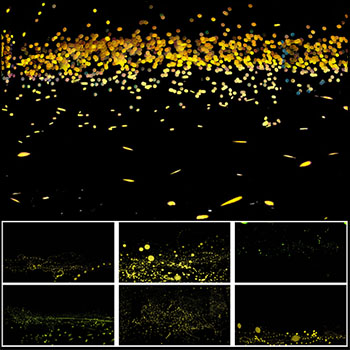 影楼婚纱写真后期唯美萤火虫光斑冲光蚂蚁图库精选PSD模板