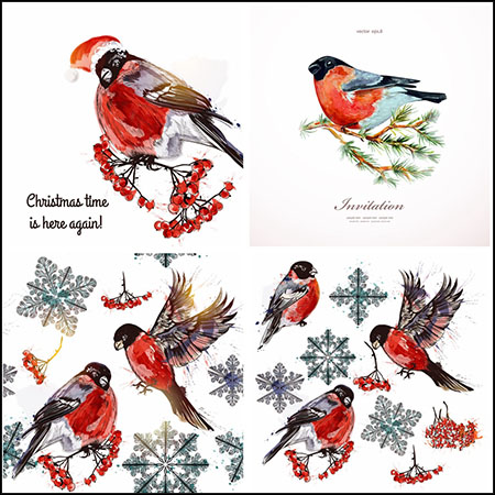 5款圣诞节水彩小鸟插图蚂蚁素材网矢量素材精选