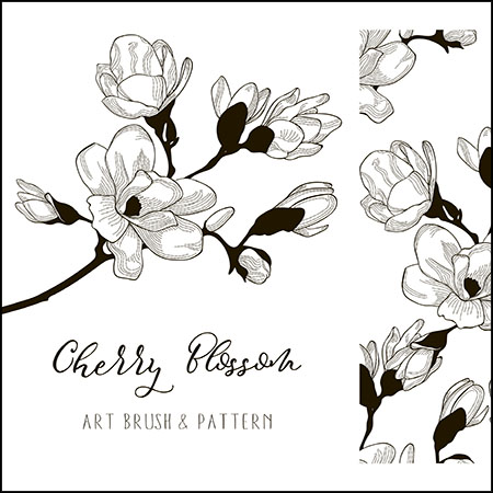 樱花花卉插图蚂蚁素材网矢量素材精选