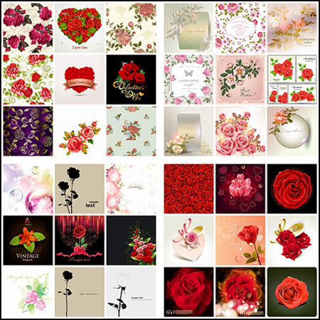 135款漂亮的玫瑰花花卉插图背景和框架蚂蚁素材网矢量素材精选