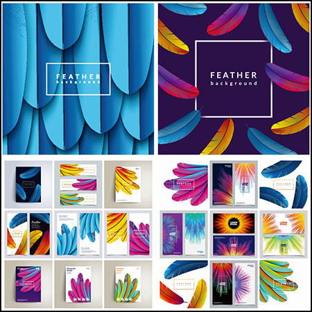 23款漂亮的羽毛装饰横幅海报蚂蚁素材网矢量素材精选