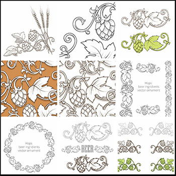 啤酒花和啤酒装饰蚂蚁素材网矢量插图精选