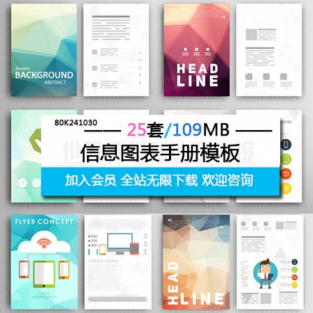 信息图形手册蚂蚁素材网矢量模板精选