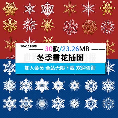 30个冬季雪花蚂蚁素材网矢量图标精选