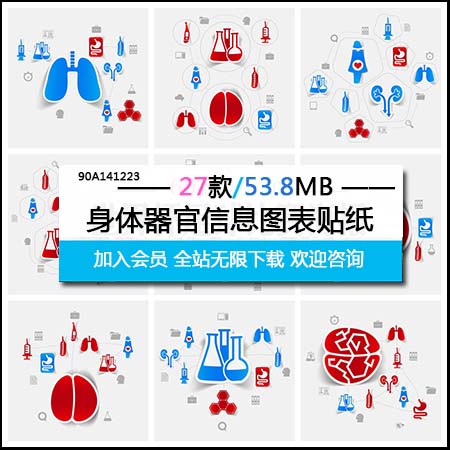 医药身体器官贴纸信息图表蚂蚁素材网矢量插图精选