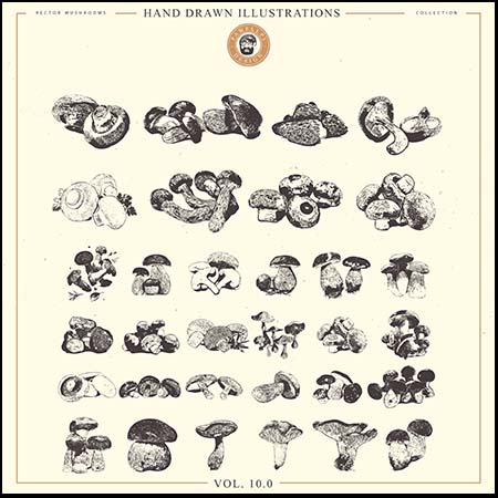 32个手绘蘑菇PSD/AI/PNG/SVG蚂蚁素材网矢量插图精选
