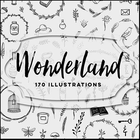 170个花卉 水壶 羽毛等蚂蚁素材网矢量图标精选