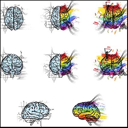 彩色大脑蚂蚁素材网矢量图标精选