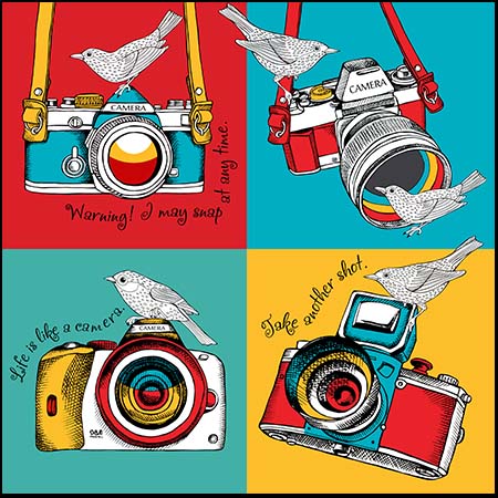 单反照相机和小鸟蚂蚁素材网矢量插图精选