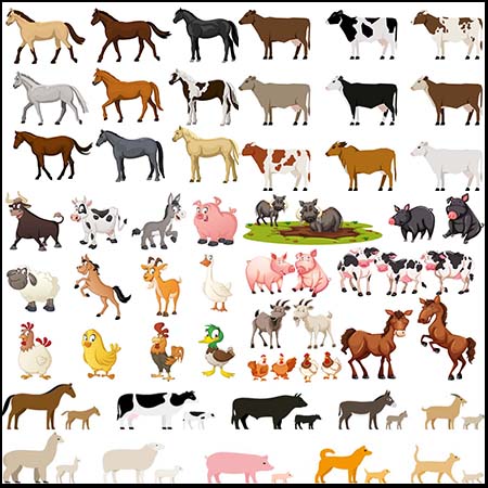 8套农场家禽动物蚂蚁素材网矢量素材精选