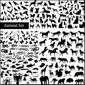 10套动物剪影打包蚂蚁素材网矢量素材精选