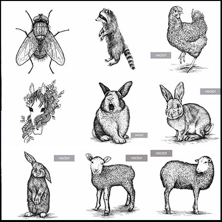 16款手绘黑色和白色动物蚂蚁素材网矢量插图精选