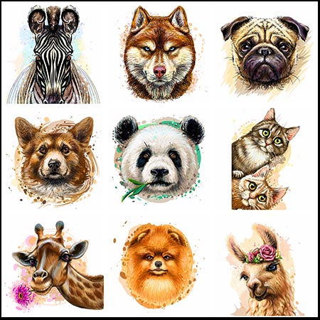 11款可爱动物头像矢量剪贴画