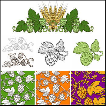 15款啤酒花和麦子啤酒装饰蚂蚁素材网矢量插图精选背景素材