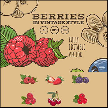复古浆果水果蚂蚁素材网矢量插图精选图标