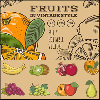 复古水果风格蚂蚁素材网矢量插图精选