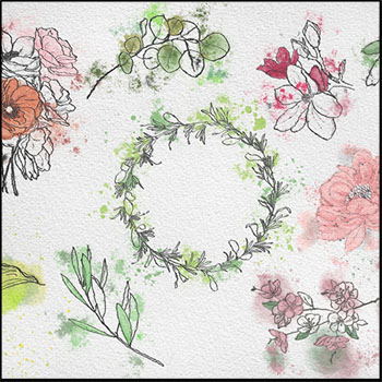 适用于请柬卡片的水彩水墨花卉蚂蚁素材网矢量插图精选