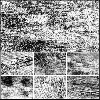 6款粗糙抽象树木表面纹理蚂蚁素材网矢量背景精选