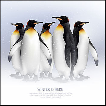 5套可爱企鹅蚂蚁素材网矢量插图精选