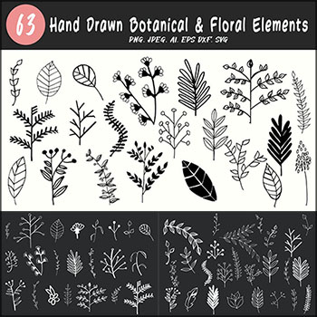 60款手绘植物花卉叶子PNG/AI/SVG剪贴画蚂蚁素材网矢量素材精选