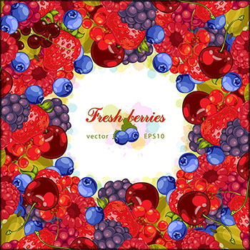 5款新鲜浆果无缝背景和插图蚂蚁素材网矢量素材精选