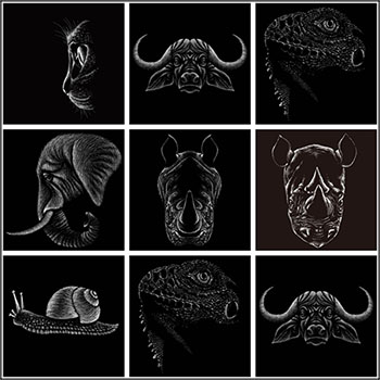 7款动物头部手绘高级插画蚂蚁素材网矢量素材精选