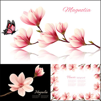 玉兰花卉花枝横幅背景蚂蚁素材网矢量素材精选