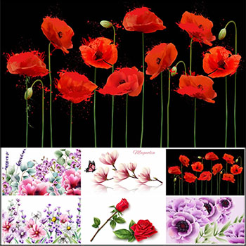 7款新鲜花卉插图蚂蚁素材网矢量背景精选素材