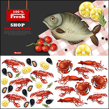 26款龙虾 螃蟹 海鱼等海鲜美食蚂蚁素材网矢量插图精选