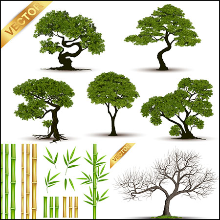 6款大树竹子等植物蚂蚁素材网矢量插图精选