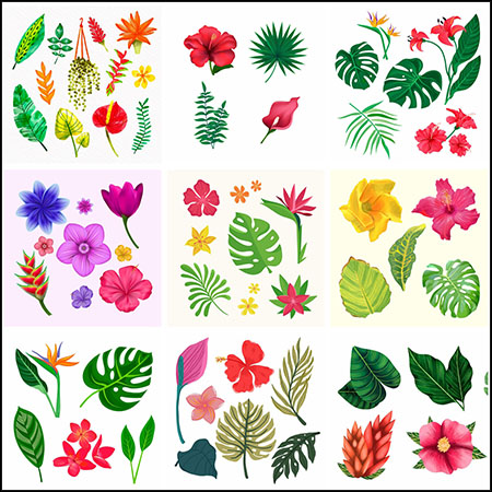 11套花卉和绿色植物叶子蚂蚁素材网矢量插图精选