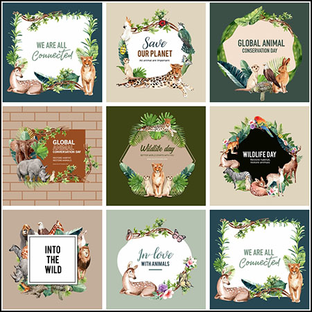 8款动物园动物边框框架蚂蚁素材网矢量模板精选